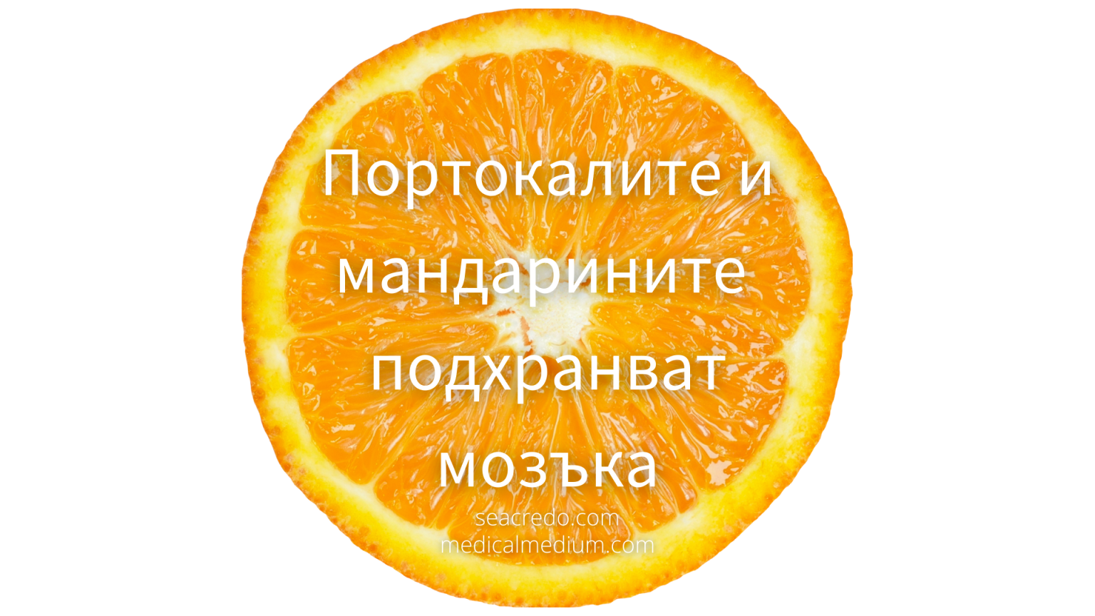 Портокалите - храна за мозъка - SeaCredo